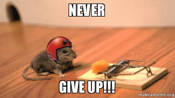 Never Give Up!